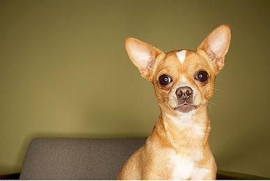 恐怖游戏《恶梦之家》上架Steam 逃离噩梦般房子